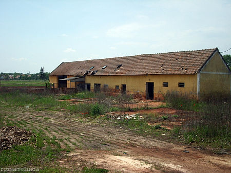 Devecser 2012
